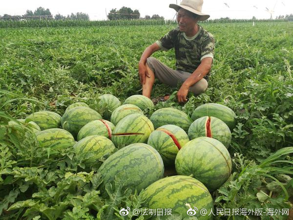 筱田优最新番号