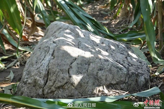 尤莉天美