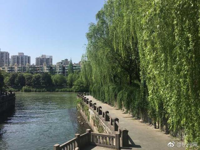 {随机关键词}