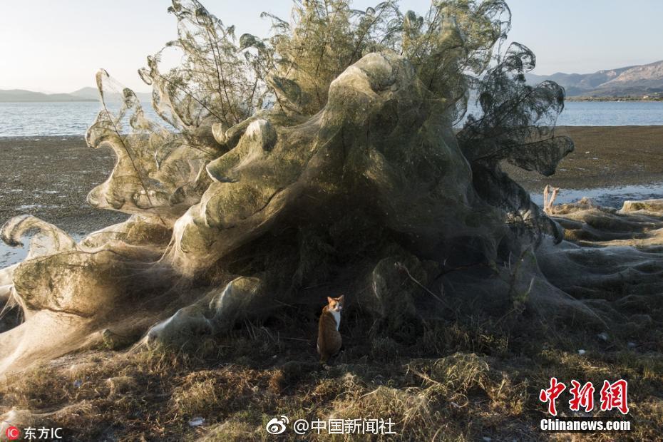 魅影直播103最新版特色
