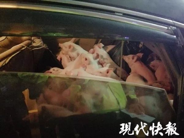 {随机关键词}