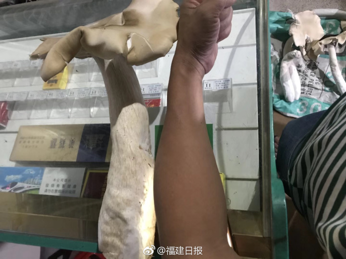 {随机关键词}