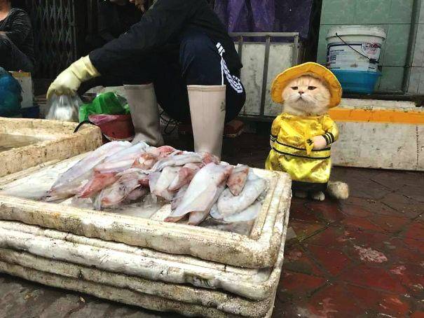 千层浪老版本