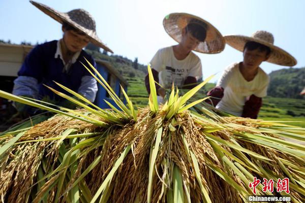 软萌兔兔酱纳西妲视频在线亚色亚视