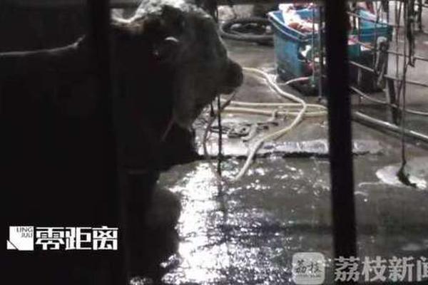 小夫妻操小bb