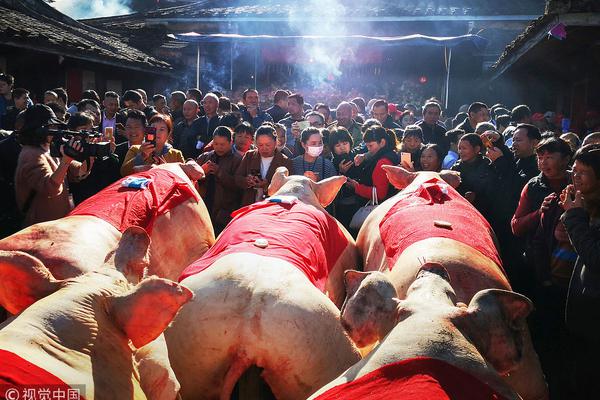 鉴黄师视频软件下载网站