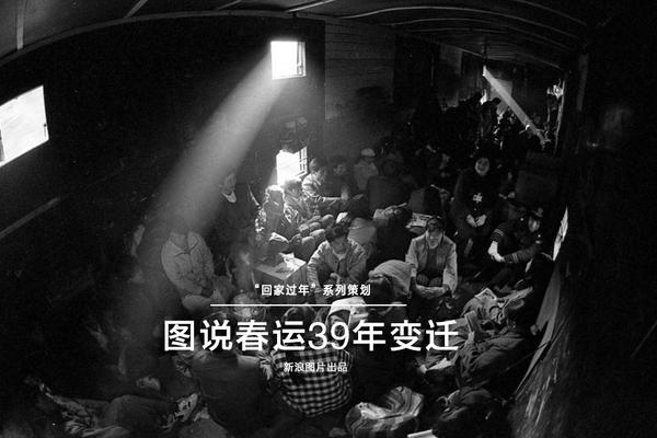 {随机关键词}