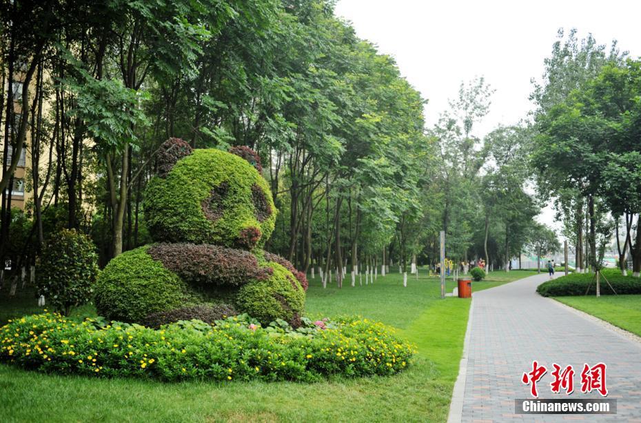 uu世界福建兄妹